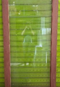 Single Light Door (loose)