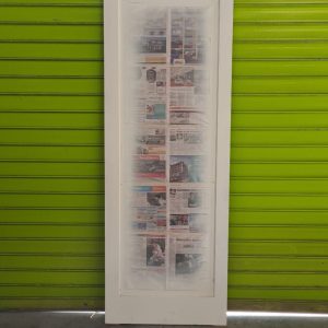 Single Light Door (loose)