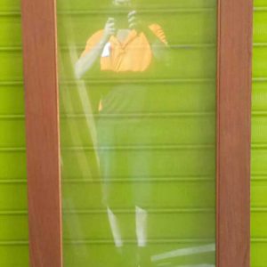 Single Light Door (Loose)